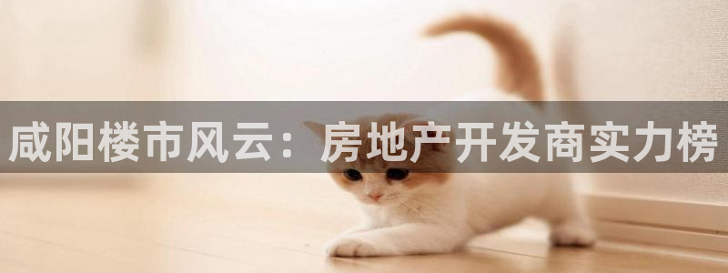 佛山永利工业皮带有限公司