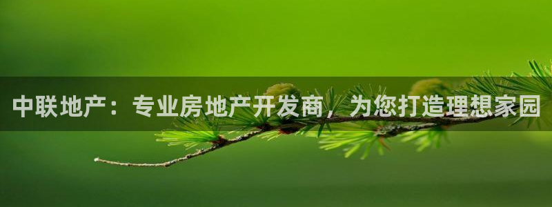 永利皮带型号说明书图片