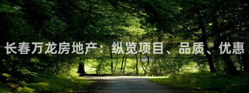 永利房地产有限公司董事长是谁
