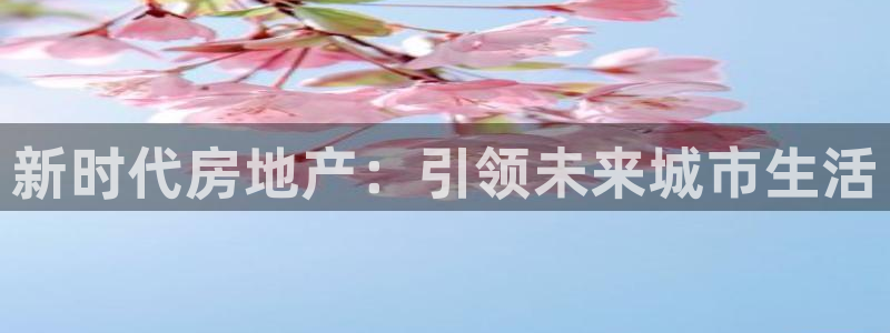 永利地产