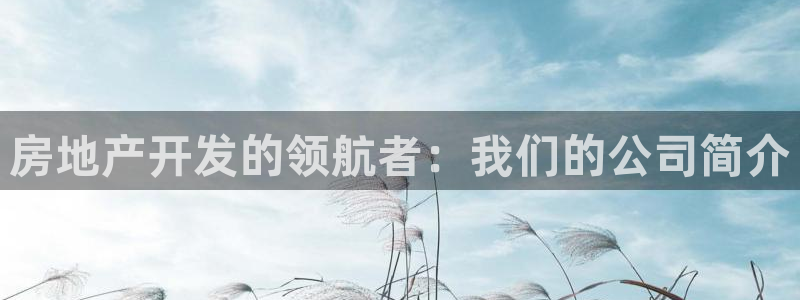 永利宝高管