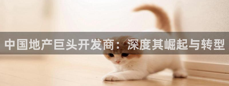 永利bet