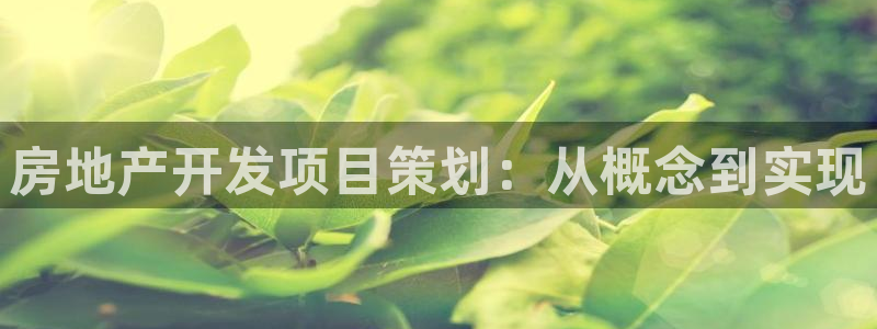 永利背一分什么价格
