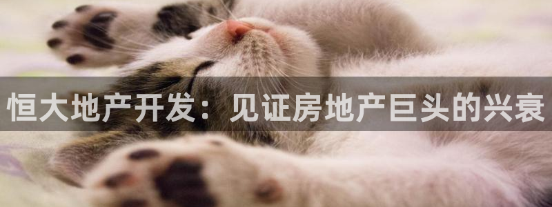 永利包装