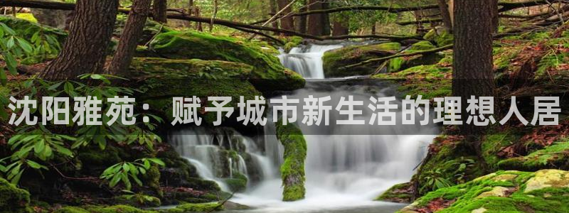 永利杯掼蛋比赛
