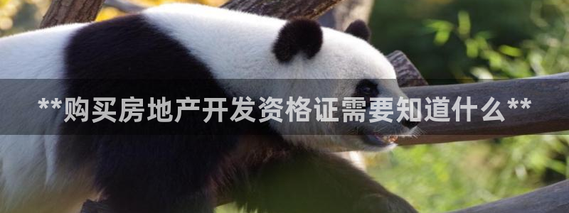 永利塑胶有限公司