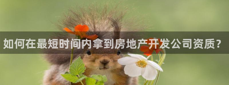 澳门永利是真的假的