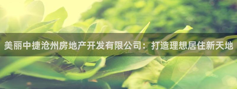永利提不了款怎么办