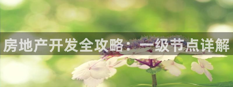 永利汇招聘