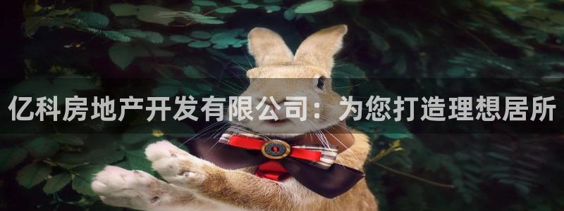 永利集团304am官方入口版