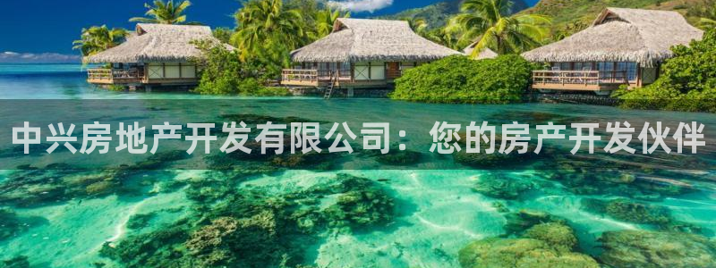 永利赚钱