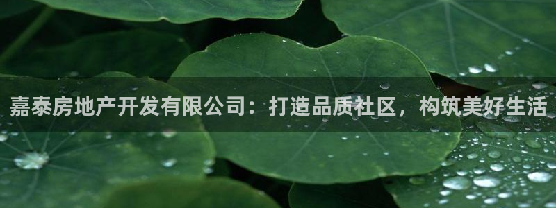 永利中国