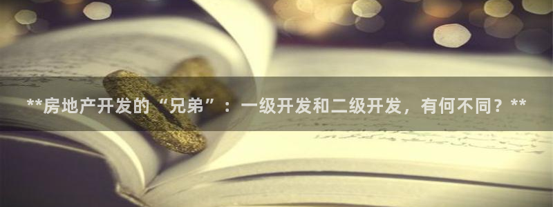 永利集团简介概况