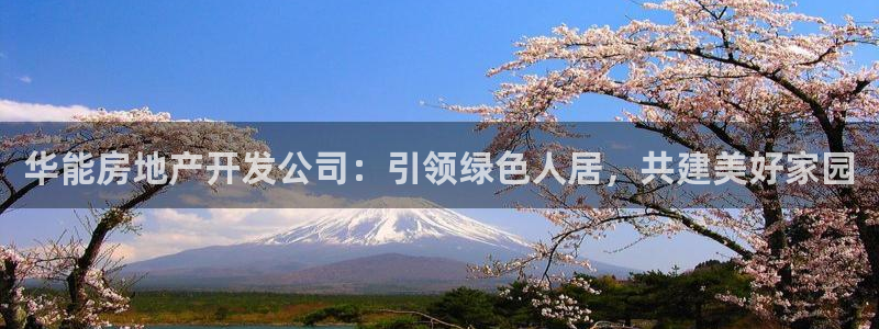 永利官网查询