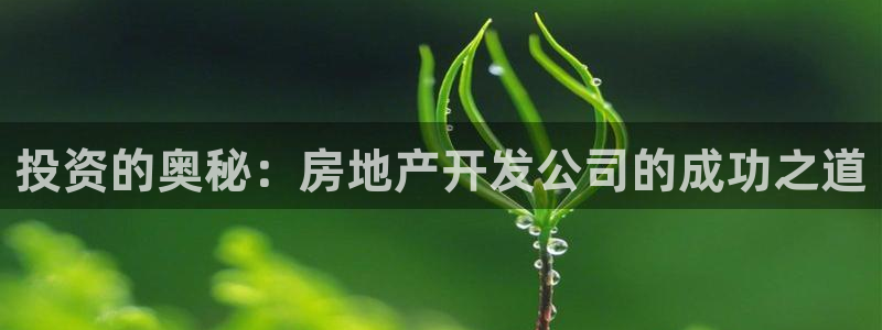 永利带业公司怎么样
