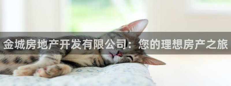 永利厂牌