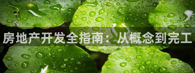 永利家具厂