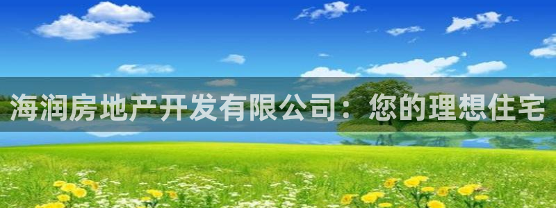 永利皮带型号说明图解