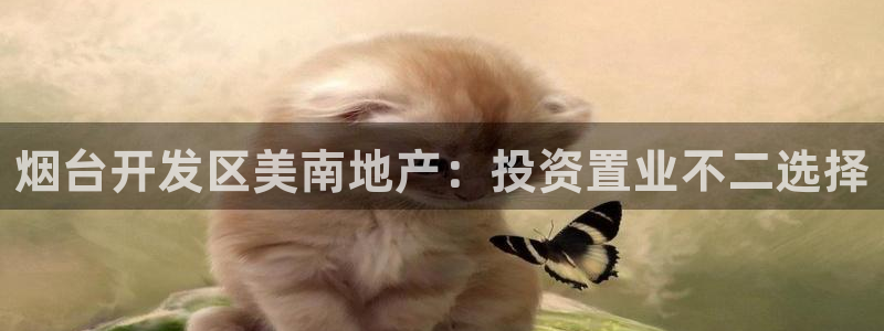 永利保险公司介绍