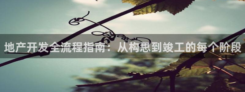 永利提款提不出来
