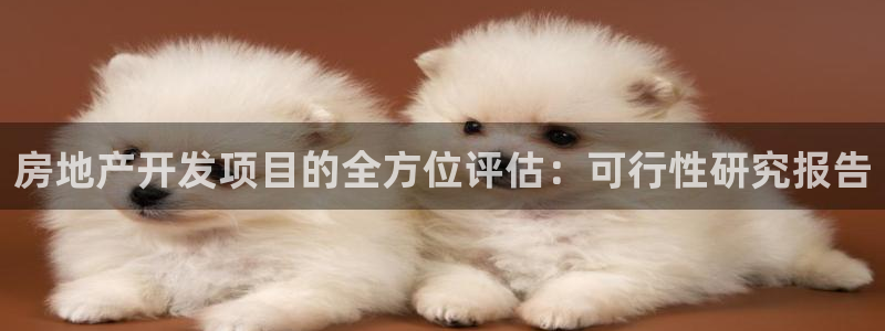 永利资管不给提款怎么解决