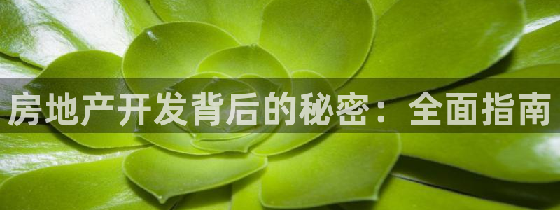 永利车业有限公司