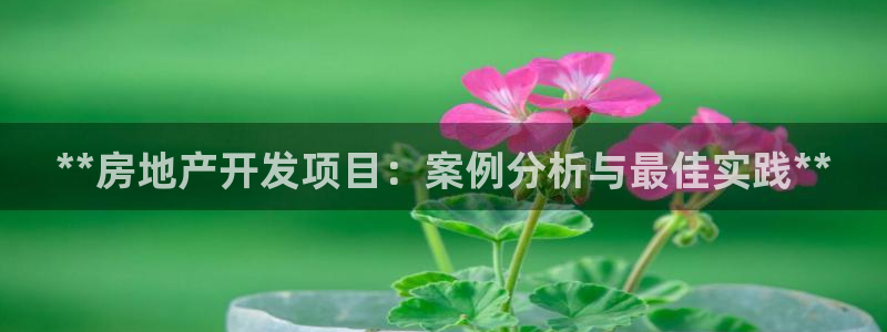永利房地产有限公司