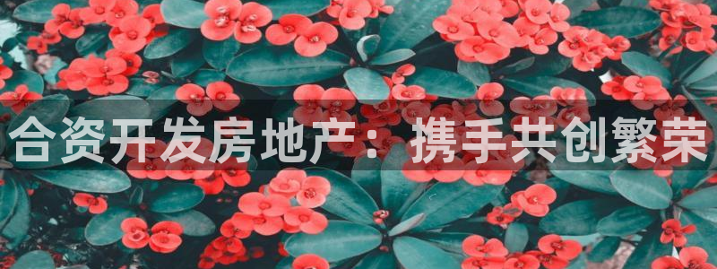 永利皮带官网价格查询