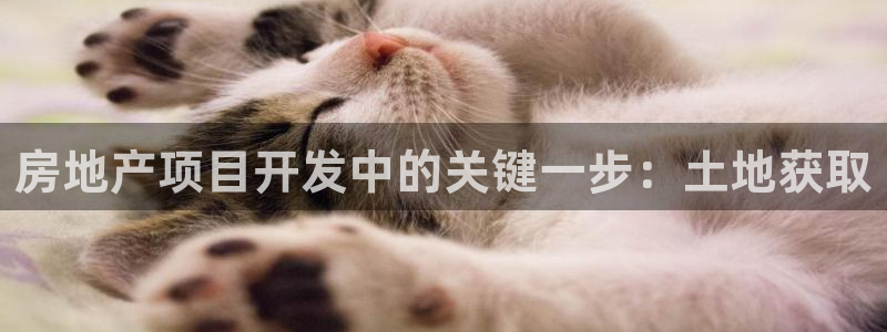 永利建筑材料有限责任公司