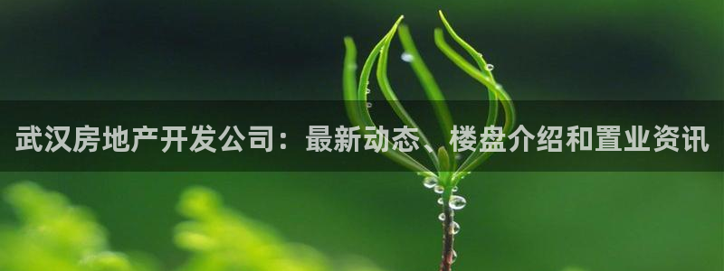 在永利无法出款怎么办
