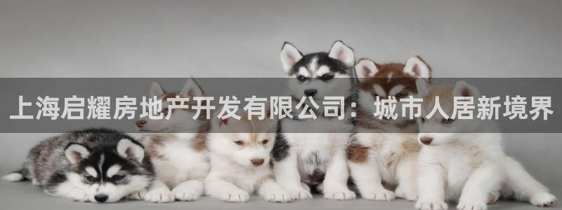 佛山王永利工业皮带有限公司