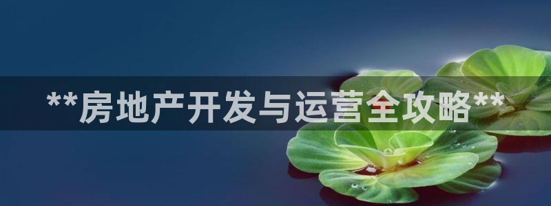 永利输送带