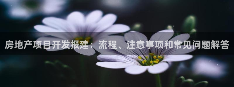 在永利无法出款怎么办