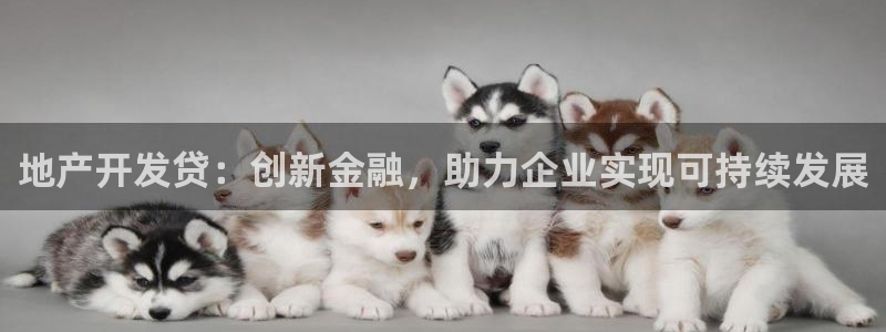 金沙永利夜总会怎么样