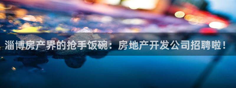 金沙永利夜总会怎么样