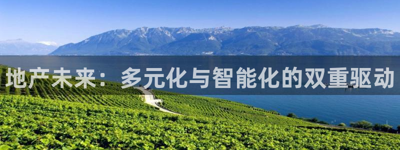 永利的老板是谁