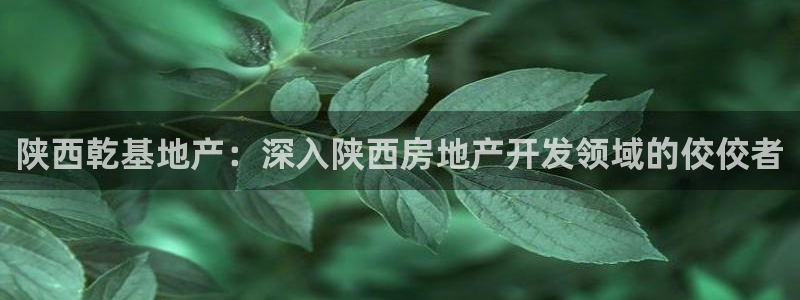 永利会员卡有什么用