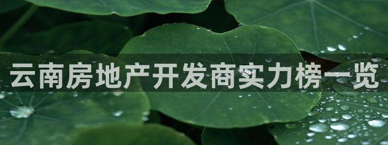 永利 官网