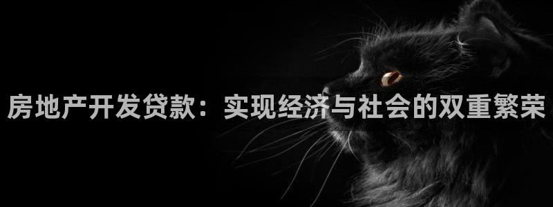 永利房地产开发有限公司