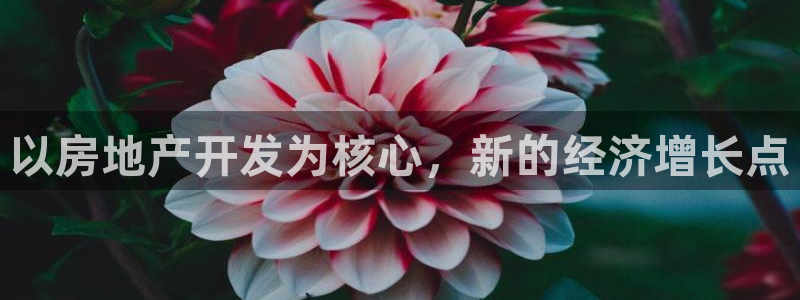 永利充值